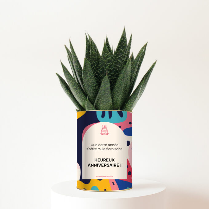 Plante-personnalisee-heureux-anniversaire Plante personnalisée d’anniversaire – Un cadeau nature qui fleurit les sourires