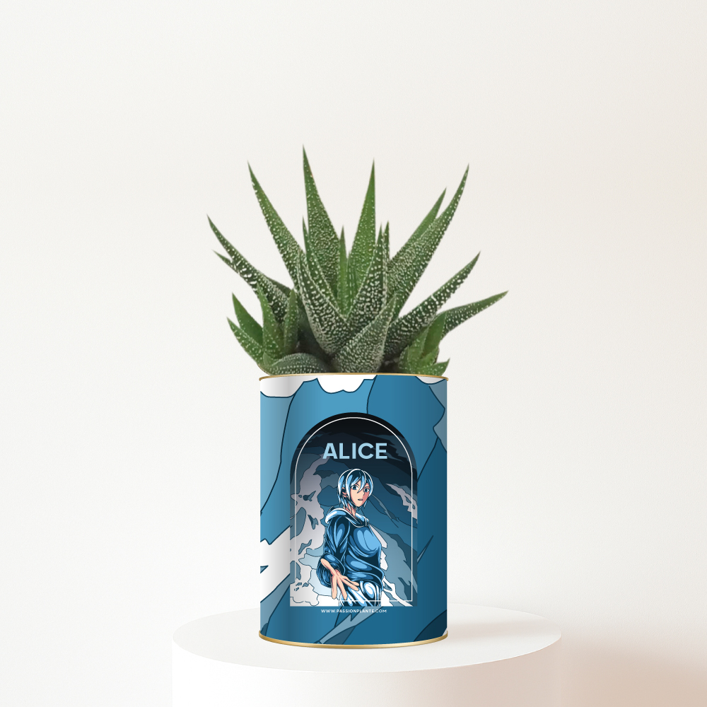 Plante-personnalisee-manga-japonais Plante personnalisée manga pour enfant illustré avec prénom