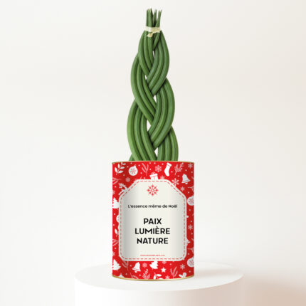 Paix, Lumière, Nature - Plante Sansevieria twist tressé personnalisée pour Noël