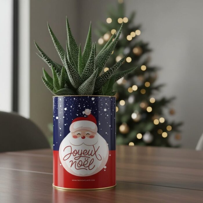 Cadeau nature avec message Joyeux Noël - plante personnalisée Noël