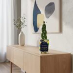 Plante personnalisée sœurs