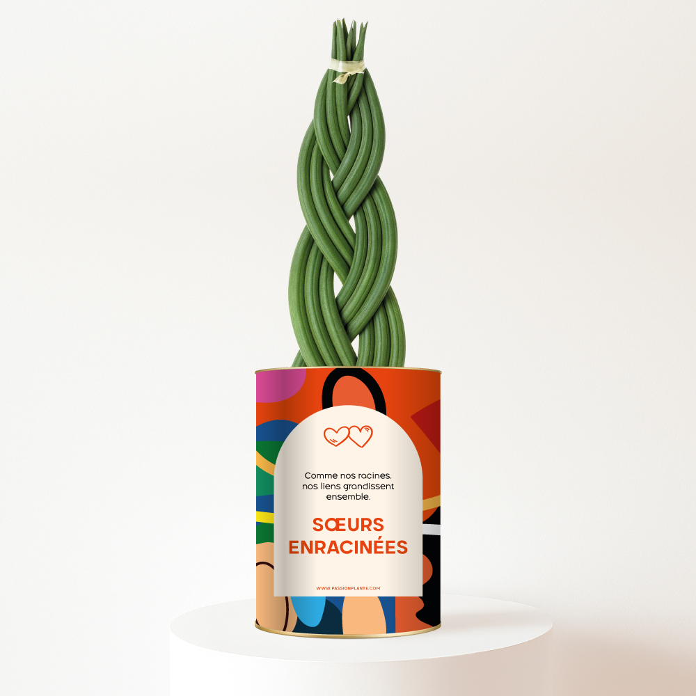 Plante-personnalisee-soeurs-enracinees Sœurs Enracinées - Plante personnalisée symbole de lien familial