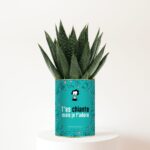 T’es chiante mais je t’adore - Succulente personnalisée amitié