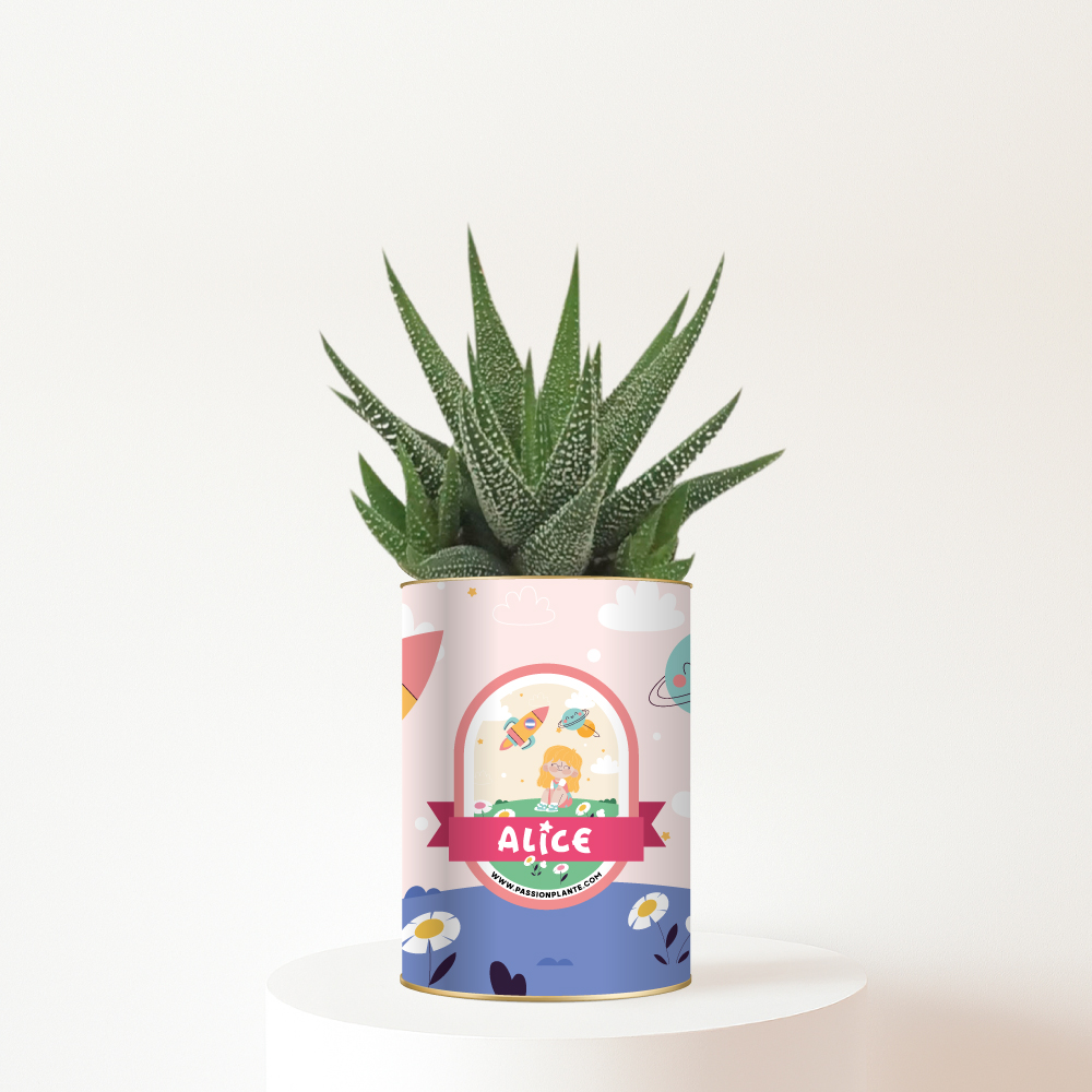Plante-personnalisable-dessin-anime-alice Conte imaginaire avec prénom Alice - Plante personnalisable pour enfant