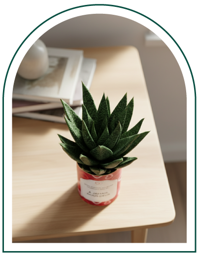 À propos de Passion Plante