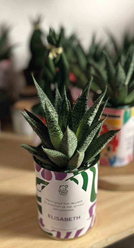 Personnalisation de plante