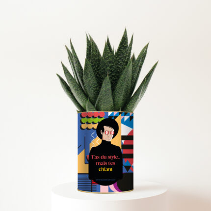 T'as du style mais t'es chiant - Plante personnalisable humour - Cadeau nature pour taire les vérités entre amis