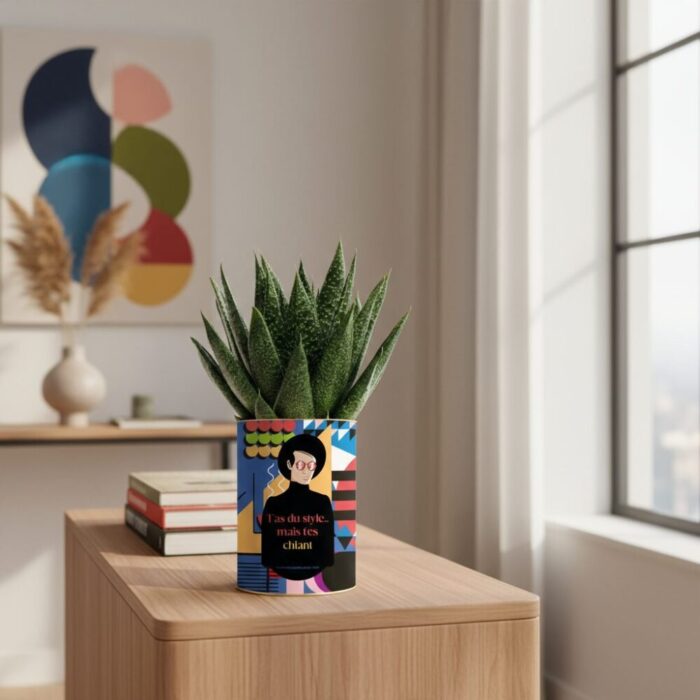 T'as du style mais t'es chiant - Plante personnalisable humour - Cadeau nature pour taire les vérités entre amis