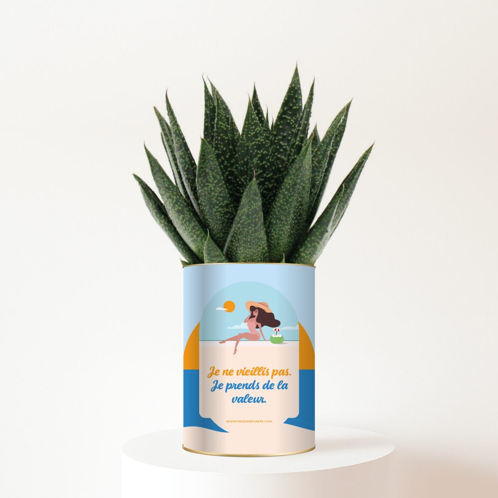 plante-je-ne-vieillis-pas-je-prends-de-la-valeur Je ne vieillis pas, je prends de la valeur - Plante personnalisée pleine de bonne humeur