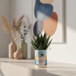 Je ne vieillis pas, je prends de la valeur - Plante personnalisée pleine de bonne humeur