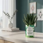 Elle fleurit toujours - Plante personnalisée d’amitié Gasteria