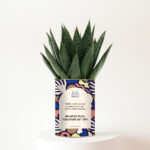 Un an de plus, toujours au top ! Plante personnalisée d’anniversaire