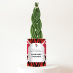 Enracinés ensemble - Plante personnalisée Sansevieria Tressé Twister