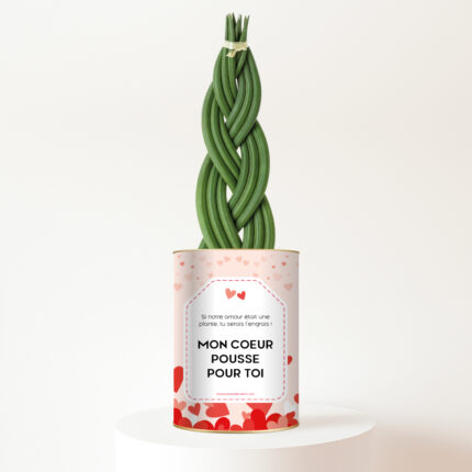 Mon cœur pousse pour toi - Plante personnalisée Sansevieria tressée