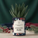 Plante personnalisée Noël pour enfant