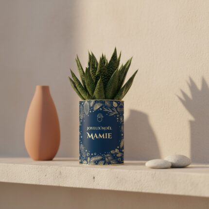 Plante personnalisée de Noël pour Mamie
