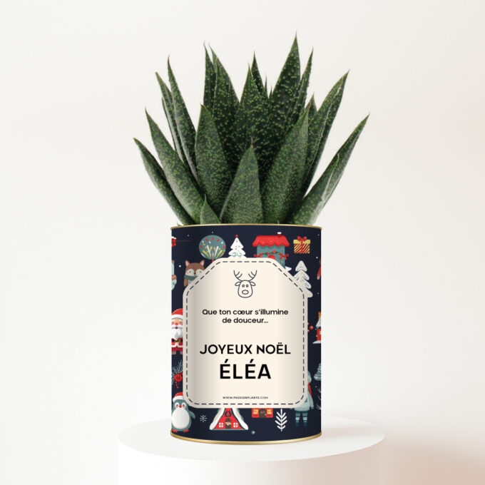 Plante personnalisée pour enfant – Cadeau de Noël unique et naturel