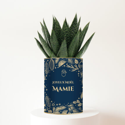 Plante personnalisée de Noël - Joyeux Noël Mamie