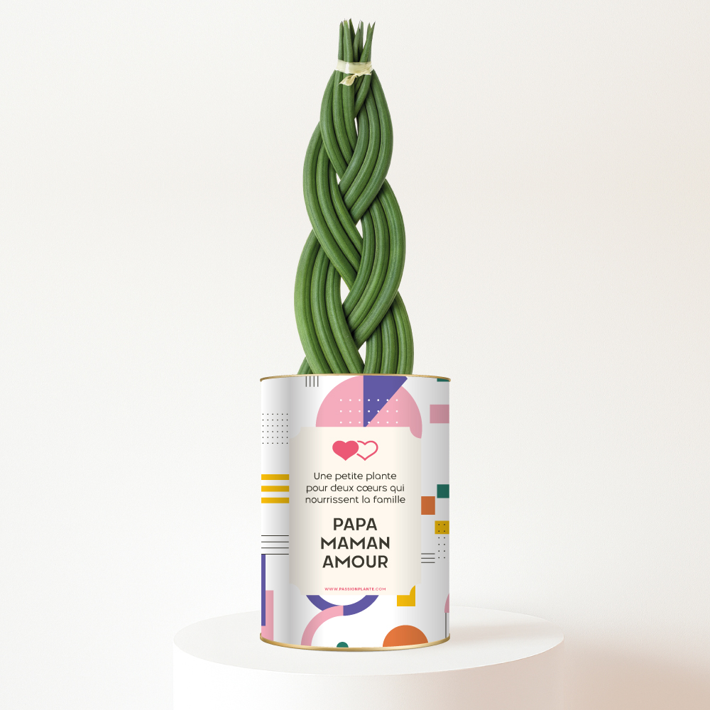 Plante personnalisée Papa & Maman - Sansevieria tressée, un cadeau d’amour pour les parents