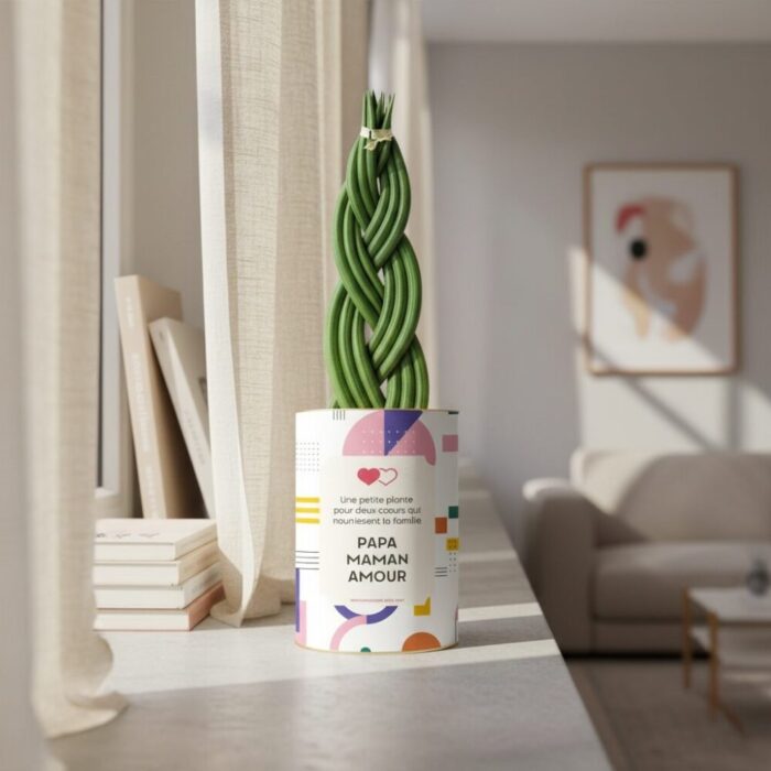 Plante personnalisée Papa & Maman - Sansevieria tressée, un cadeau d’amour pour les parents
