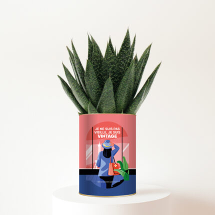 Je ne suis pas vieille, je suis vintage - Plante personnalisée humour