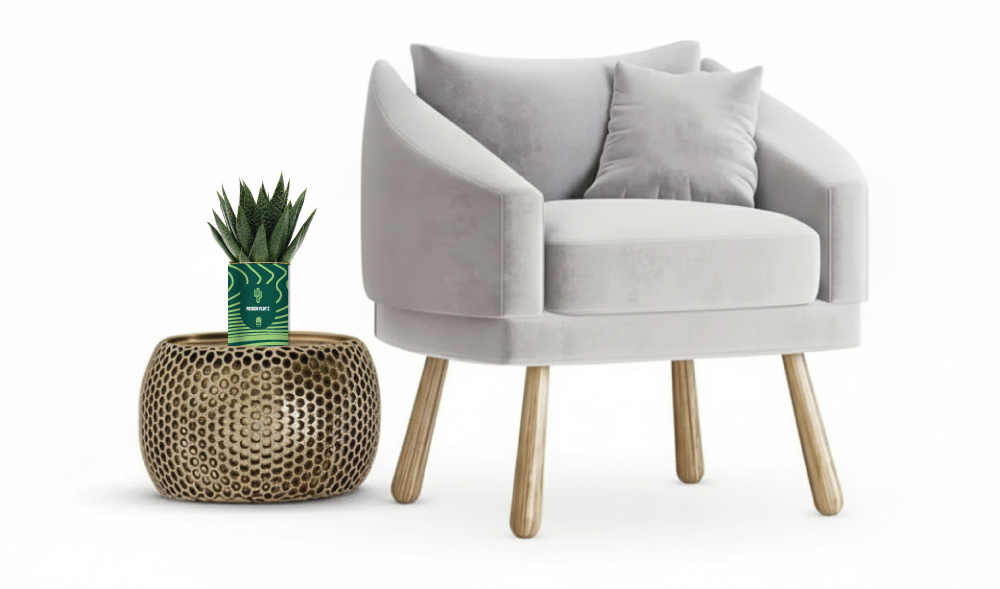 Plante personnalisée pour entreprise