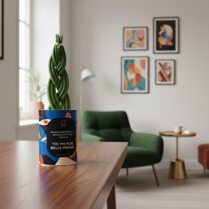Ma plus belle pousse - Plante personnalisée pour son enfant - Sansevieria tressée