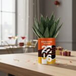 Bonne Année 2026 + Prénom - Succulente personnalisée - Un cadeau nature porteur d’espoir