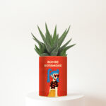 Bombe botanique - la plante grasse qui fait exploser les sourires