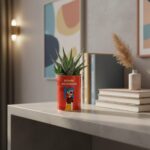 Bombe botanique - la plante grasse qui fait exploser les sourires