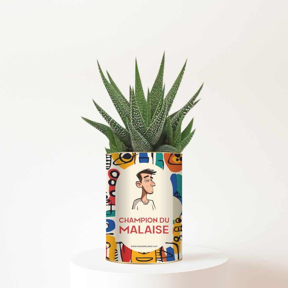 Plante Humour Champion du malaise