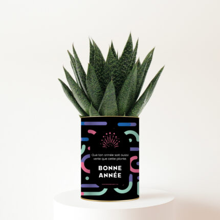 Plante personnalisée Bonne Année 2026 : Cadeau végétal et festif