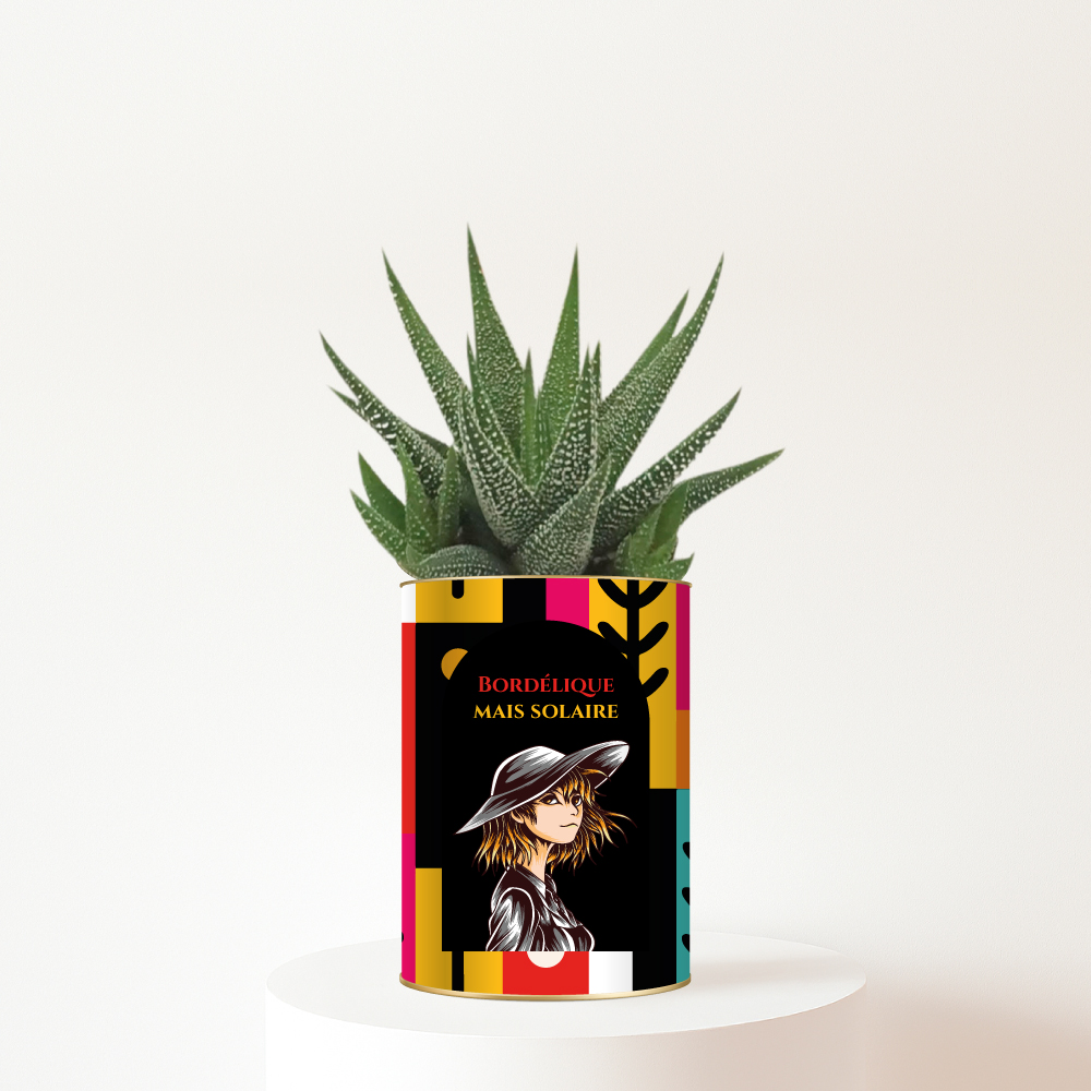 Bordélique, mais solaire - Plante personnalisée humour - Succulente pour une amie