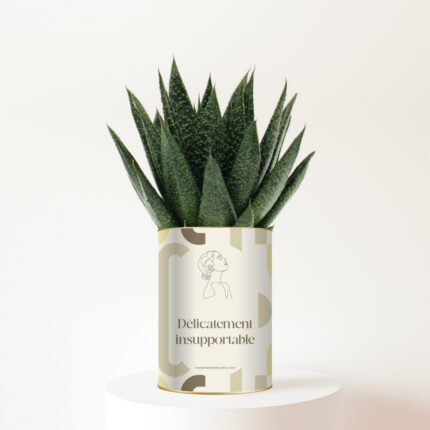 Plante personnalisée Délicatement insupportable