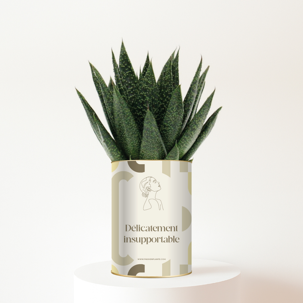 Plante personnalisée Délicatement insupportable