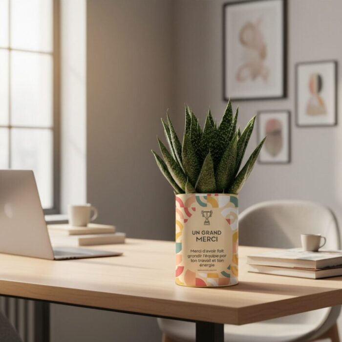 Un grand merci - Plante personnalisée à offrir pour remercier un collaborateur