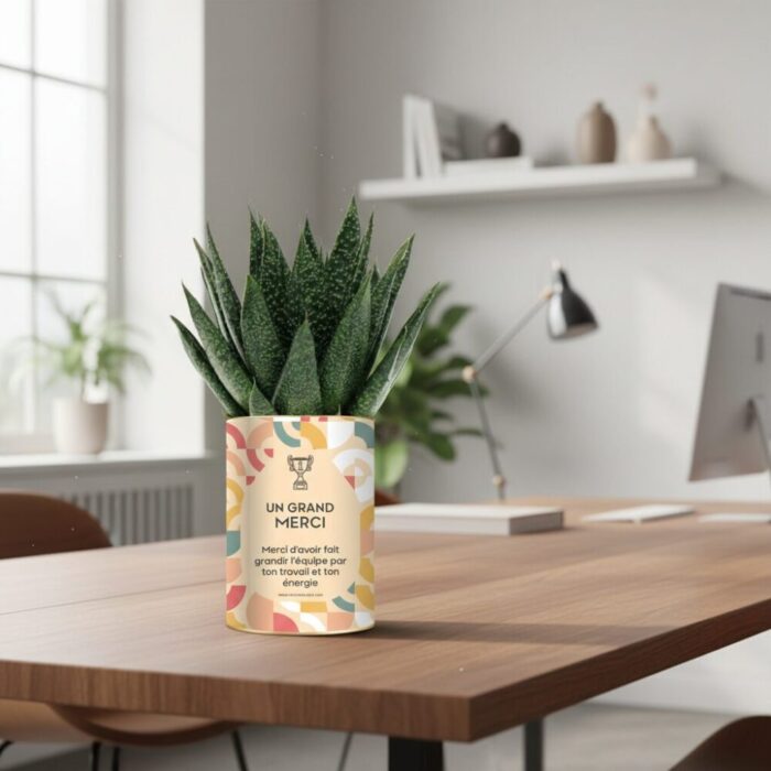 Un grand merci - Plante personnalisée à offrir pour remercier un collaborateur