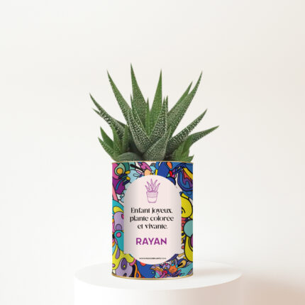 Succulente colorée Gasteria avec message joyeux - Plante personnalisée enfant