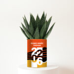 Bonne Année 2026 + Prénom - Succulente personnalisée - Un cadeau nature porteur d’espoir