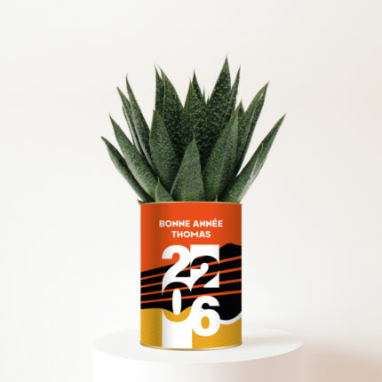 Bonne Année 2026 + Prénom - Succulente personnalisée - Un cadeau nature porteur d’espoir