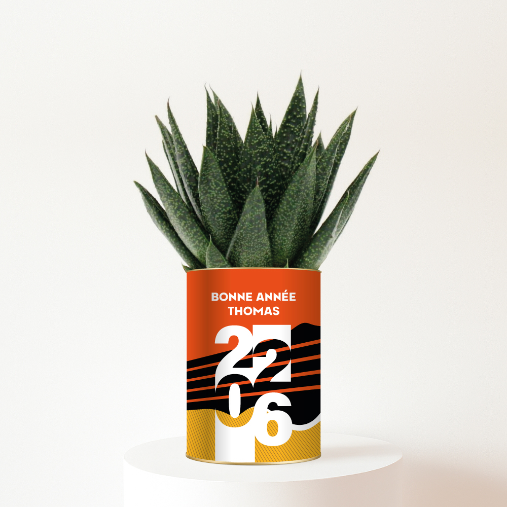 Bonne Année 2026 + Prénom - Succulente personnalisée - Un cadeau nature porteur d’espoir