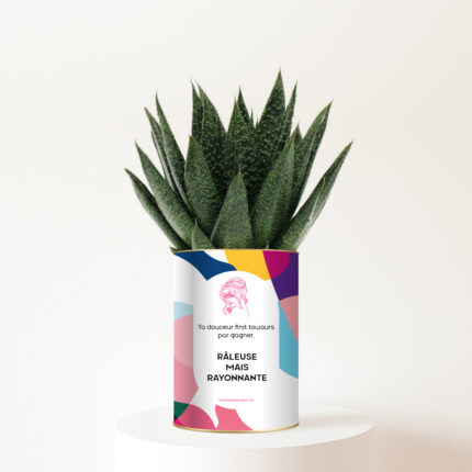 Râleuse mais Rayonnante - Plante personnalisée humour pour une amie