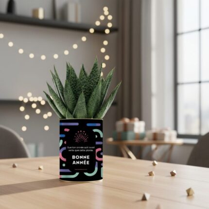 Plante personnalisée Bonne Année 2026 : Cadeau végétal et festif