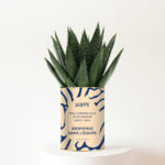 Bienvenue dans l’équipe - Plante personnalisée succulente - Cadeau de bienvenue