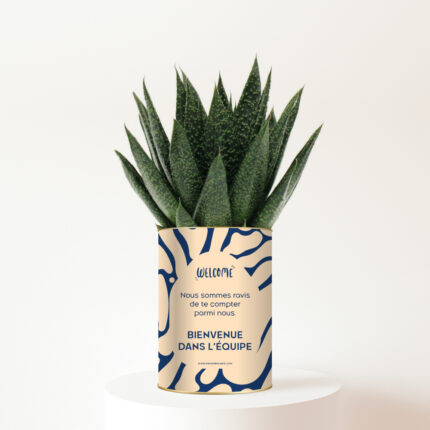 Bienvenue dans l’équipe - Plante personnalisée succulente - Cadeau de bienvenue
