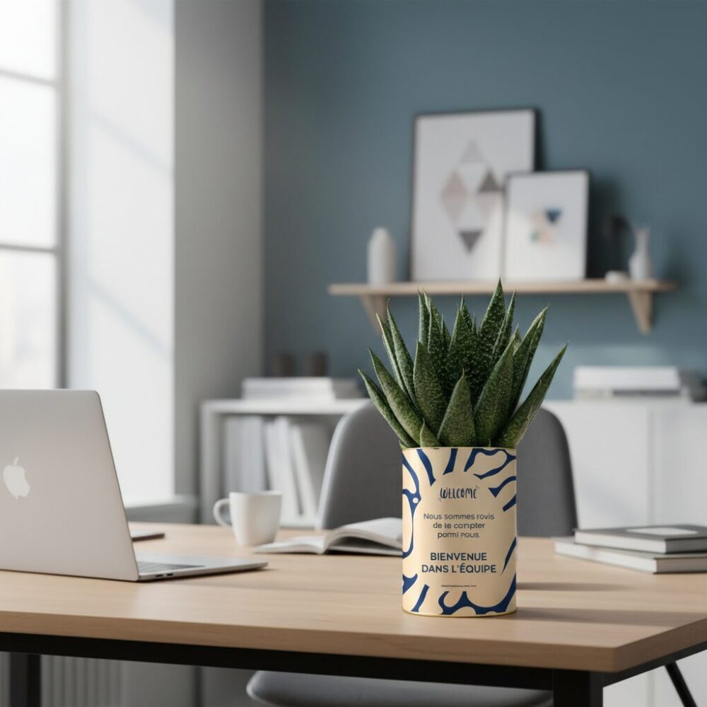 Bienvenue dans l’équipe - Plante personnalisée succulente - Cadeau de bienvenue