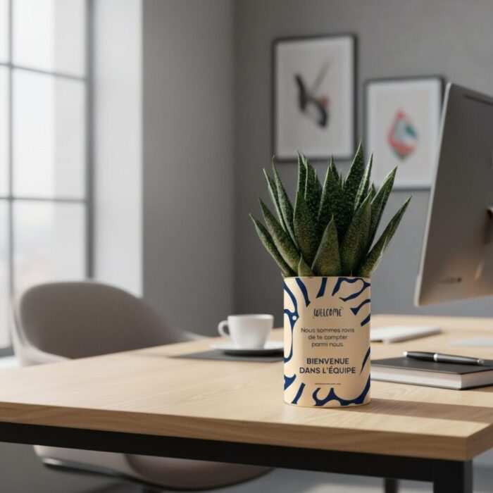 Bienvenue dans l’équipe - Plante personnalisée succulente - Cadeau de bienvenue