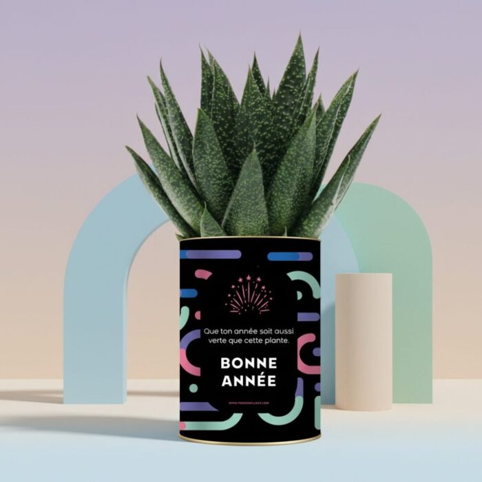 Plante personnalisée Bonne Année 2026 : Cadeau végétal et festif