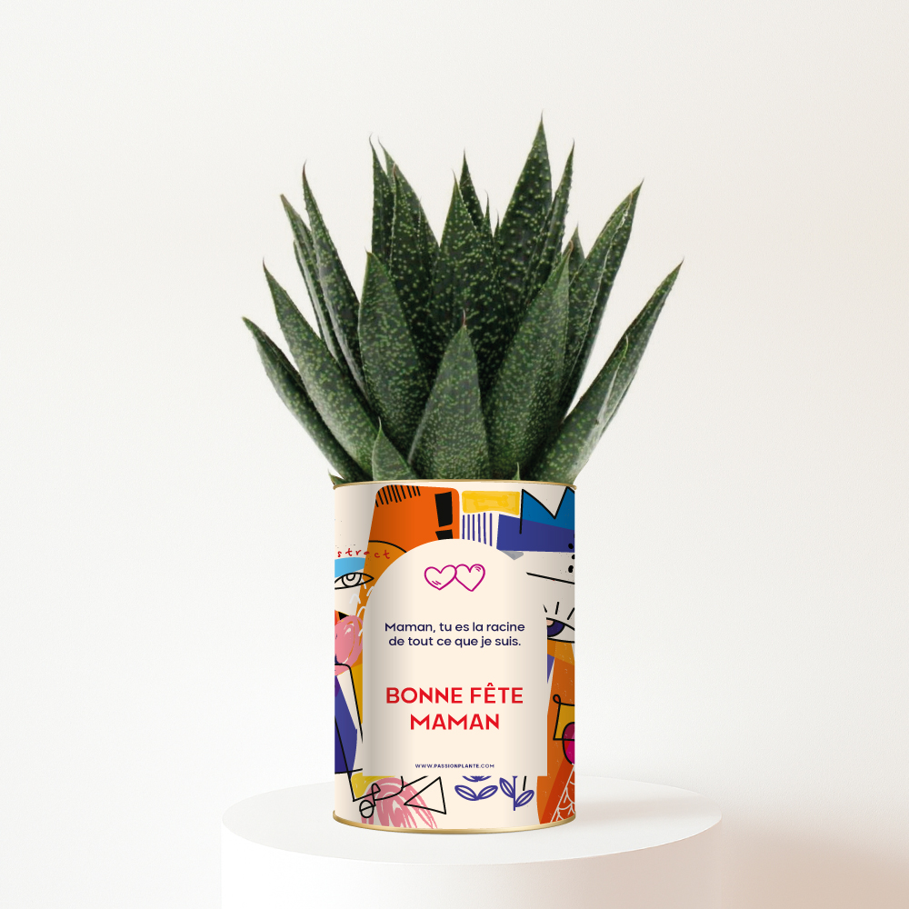 Plante personnalisée Gasteria Fête des Mères – Bonne fête maman, tu es la racine de tout ce que je suis