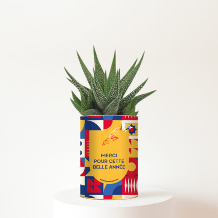 Merci pour cette belle année - Plante personnalisée - Cadeau enseignant plein de gratitude